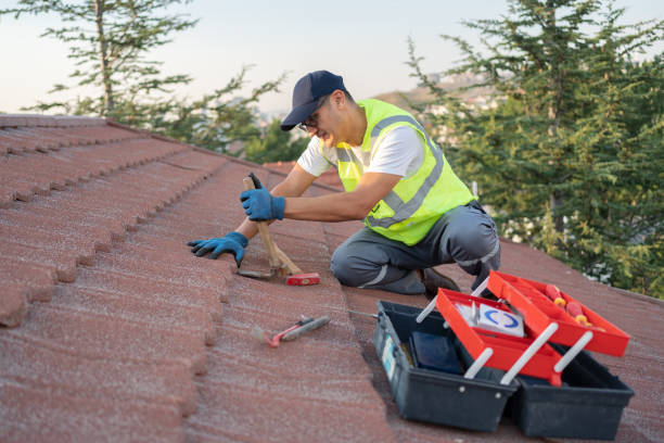 Best Roof Gutter Cleaning  in Aberdeen, OH